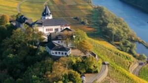 Deutsche Weinwelt – l’allemagne viticole